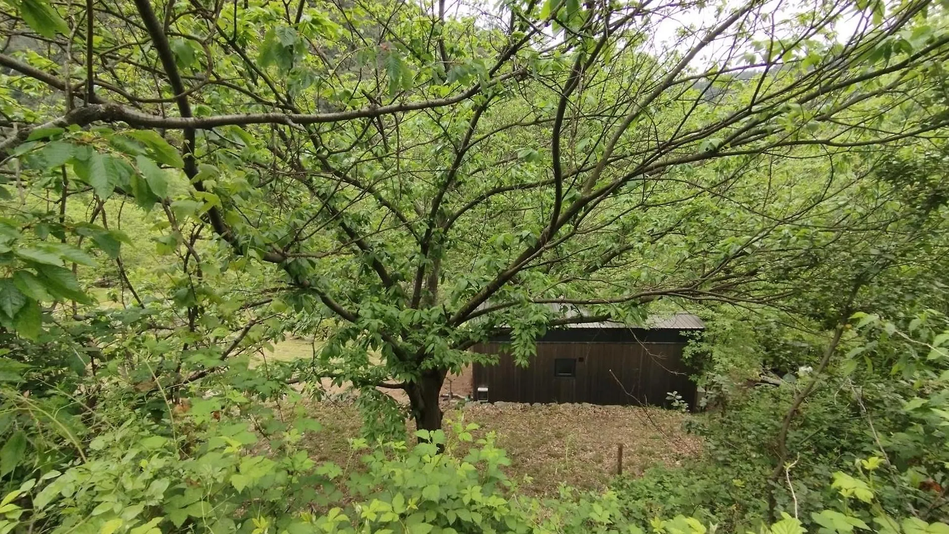 Отель Tiny House Bord De Riviere Beaumont  0*, Beaumont (Ardeche)